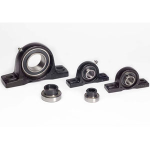 Mounted Bearings